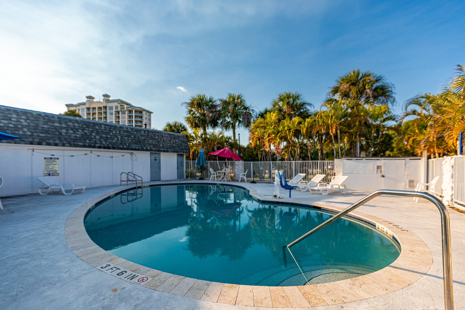 Pool with lounge chairs and palm trees