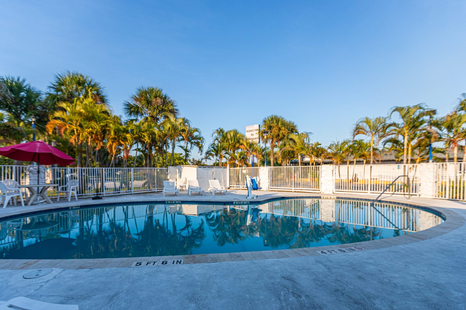 Pool and palm trees on a sunny day